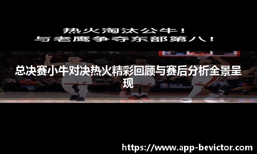 总决赛小牛对决热火精彩回顾与赛后分析全景呈现